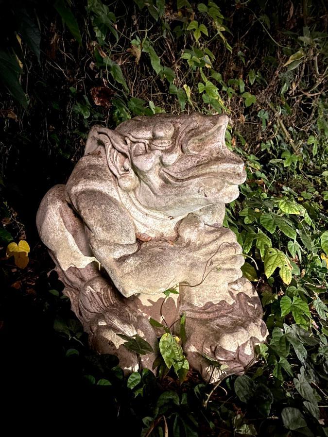 My Big Art Project Bed & Breakfast Santa Rosa Bagian luar foto